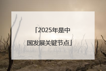 2025年是中国发展关键节点